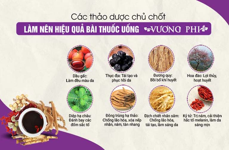 Một số thảo dược quan trọng trong Liệu trình Vương Phi Một số thảo dược quan trọng trong Liệu trình Vương Phi