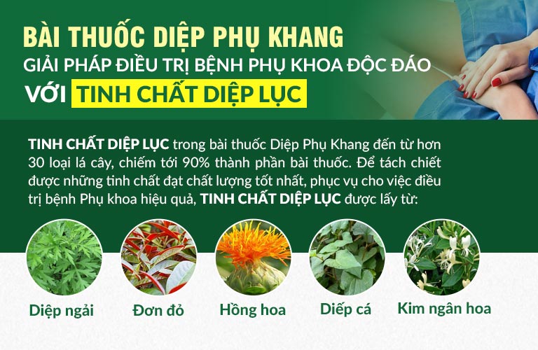 Tinh chất diệp lục có trong Diệp Phụ Khang