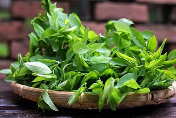Rau ngót chứa nhiều thành phần hoạt chất tác dụng tốt đến sức khỏe sinh lý nam