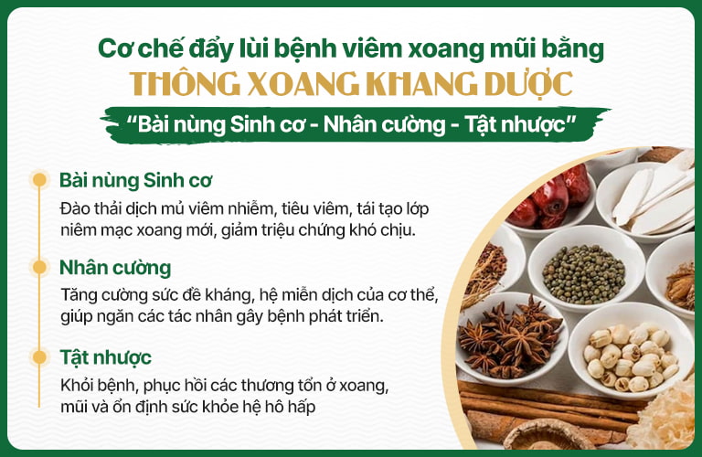 Cơ chế đẩy lùi viêm xoang, viêm mũi trong bài thuốc Thông xoang Khang dược