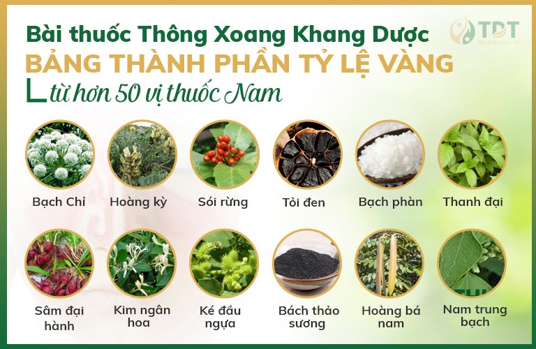 Hơn 50 vị thuốc cấu thành thành phần Thông xoang Khang dược