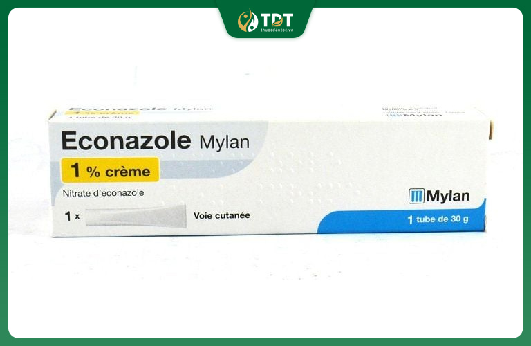 Kem bôi Econazole giúp kháng nấm diệt khuẩn