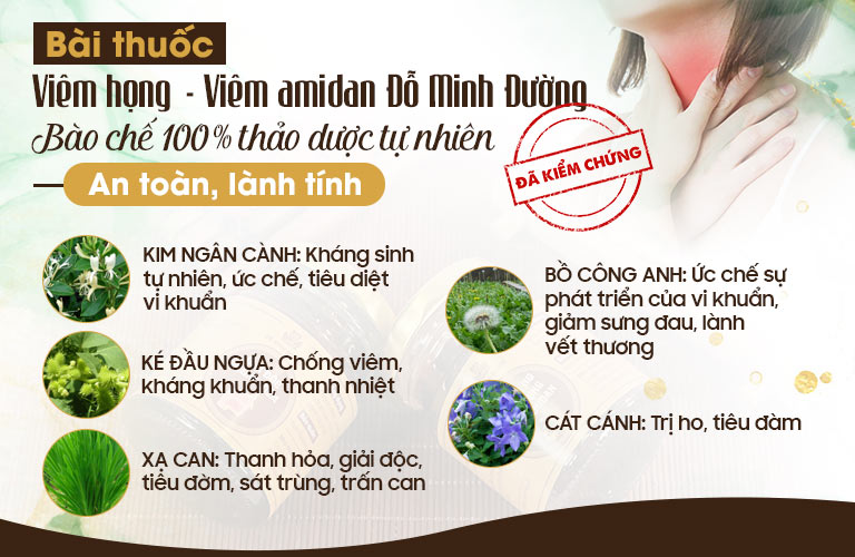Bài thuốc Viêm Amidan Đỗ Minh được bào chế từ dược liệu chuẩn sạch tự nhiên 100%